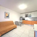 Functional With A Spacious Fenced Garden Apartment *